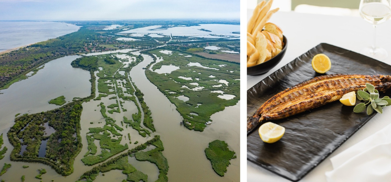 Aal-Festival in Comacchio: Die Sagra dell’Anguilla bringt Kulinarik und Tradition ins Po-Delta